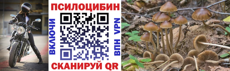 как найти   Мосальск  Псилоцибиновые грибы мухоморы 